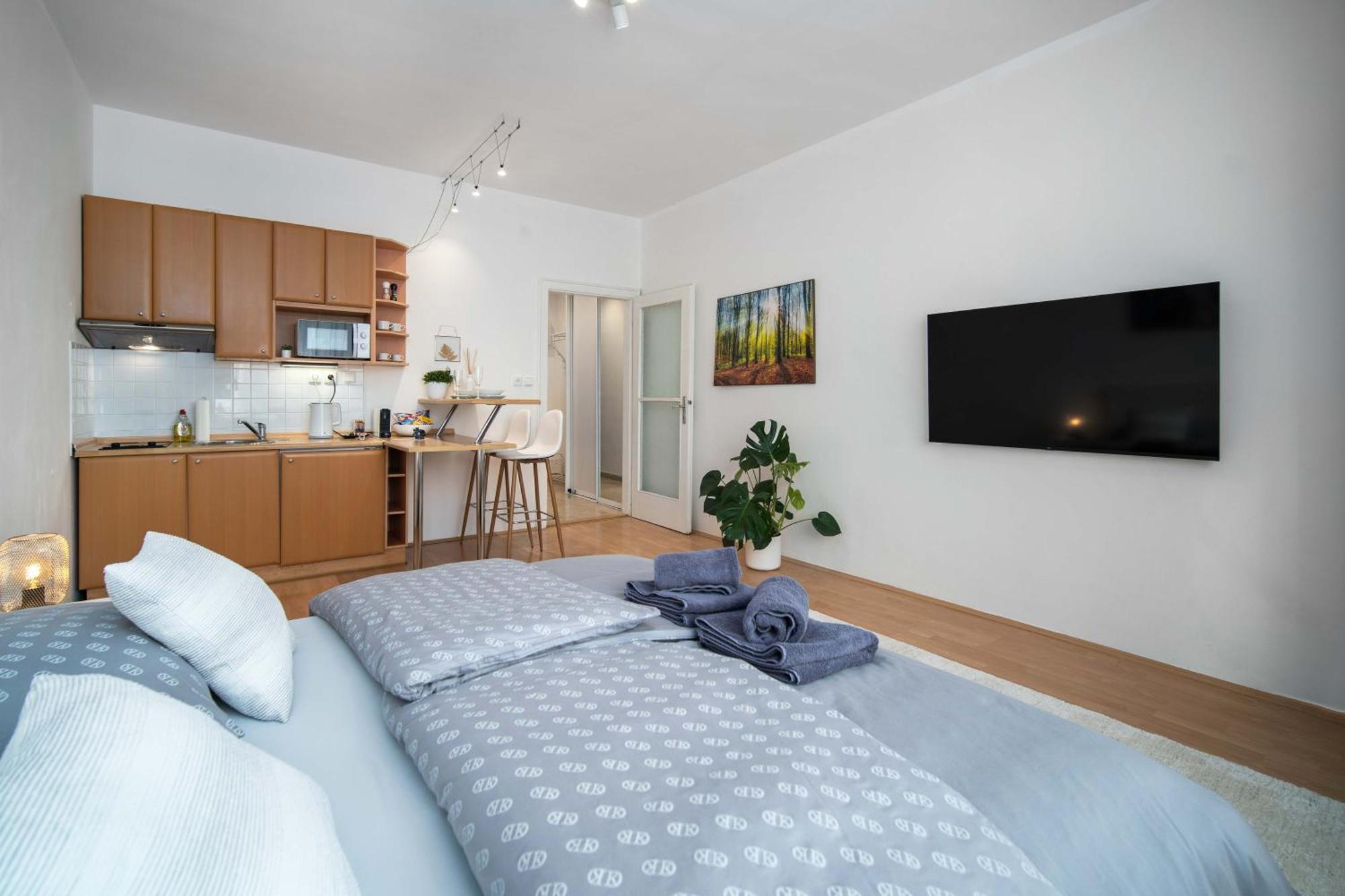 Best Location Apartment Air-Conditioned Bratislava Exteriör bild